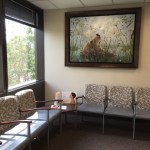 Waiting Area | Anchorage  Oral Surgery staff
